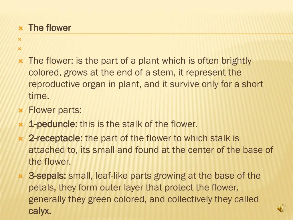 the flower the flower