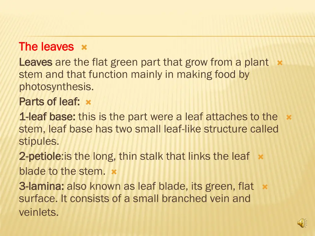the leaves the leaves leaves leaves are the flat