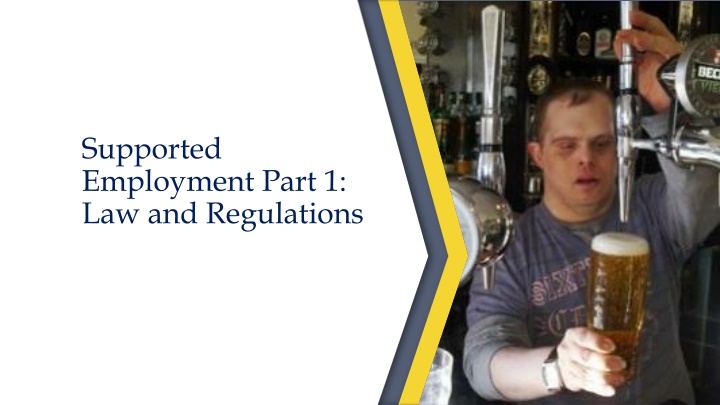 supported employment part 1 law and regulations