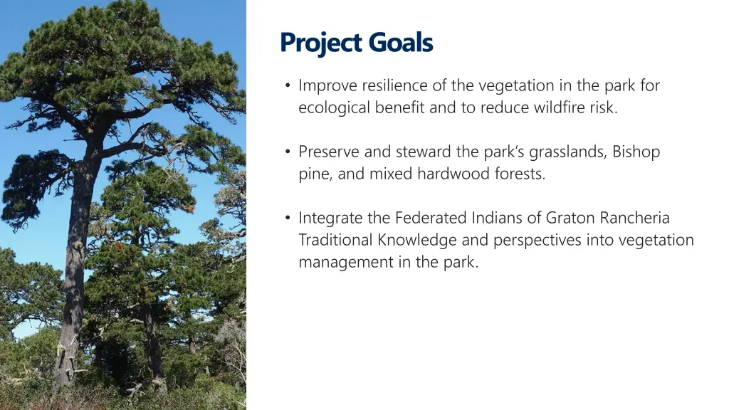 project goals