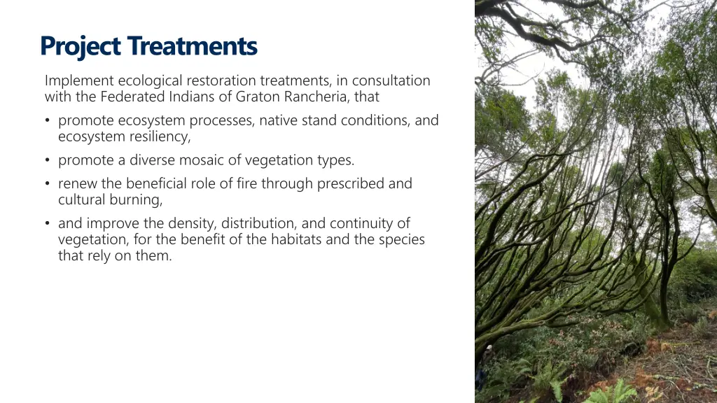 project treatments