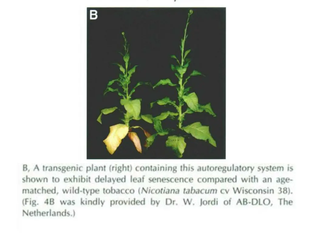 slide14