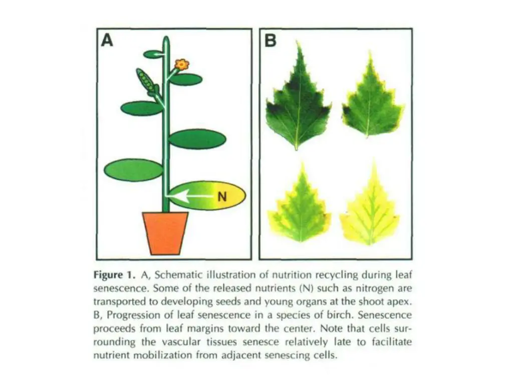 slide8