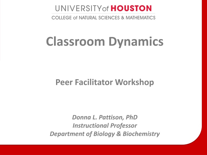 classroom dynamics