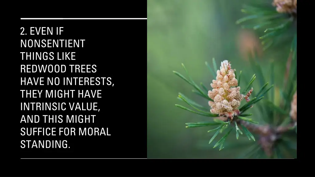2 even if nonsentient things like redwood trees