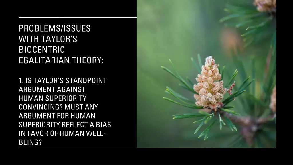 problems issues with taylor s biocentric