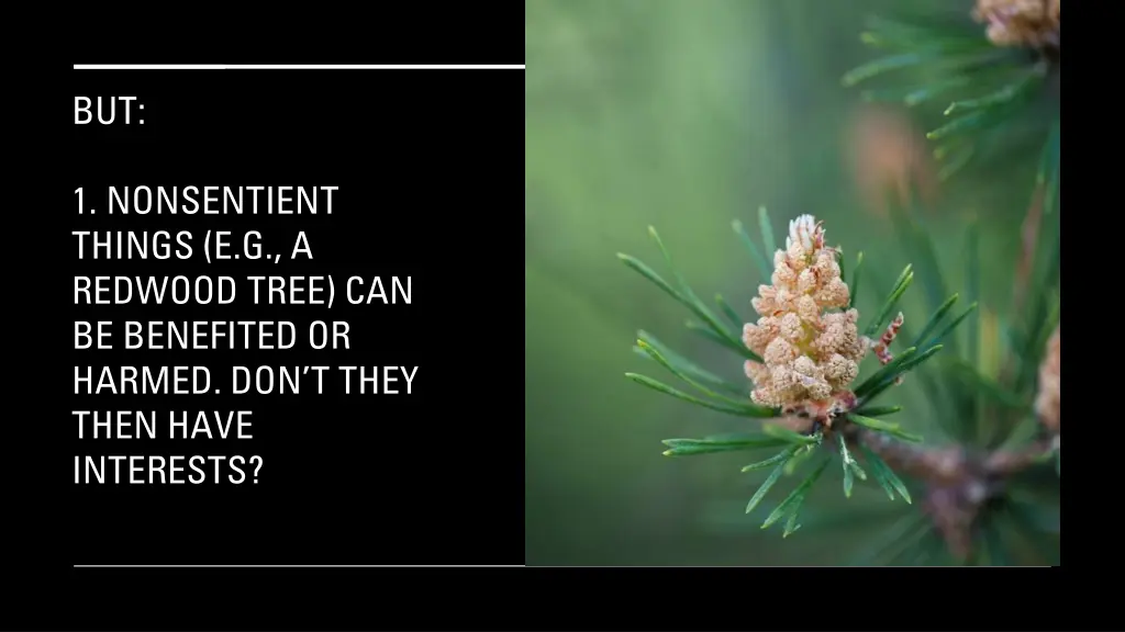 slide6