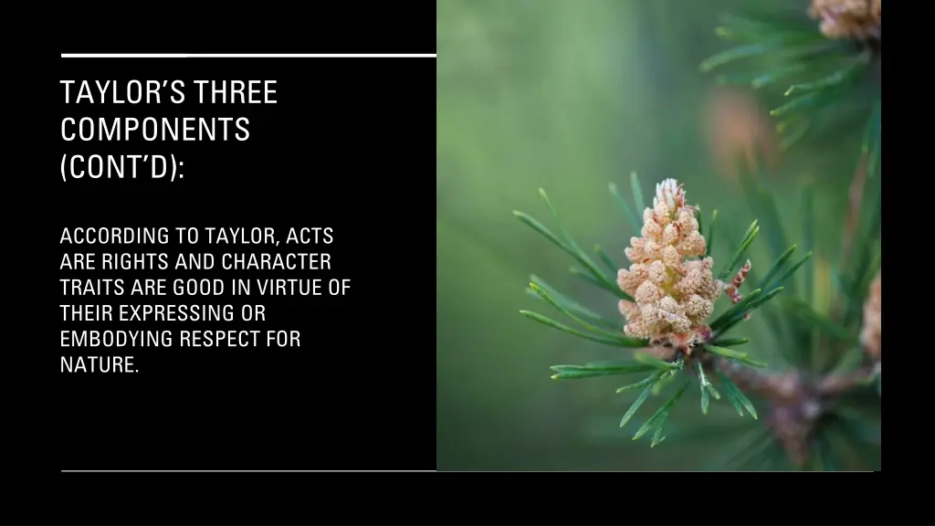 taylor s three components cont d 13