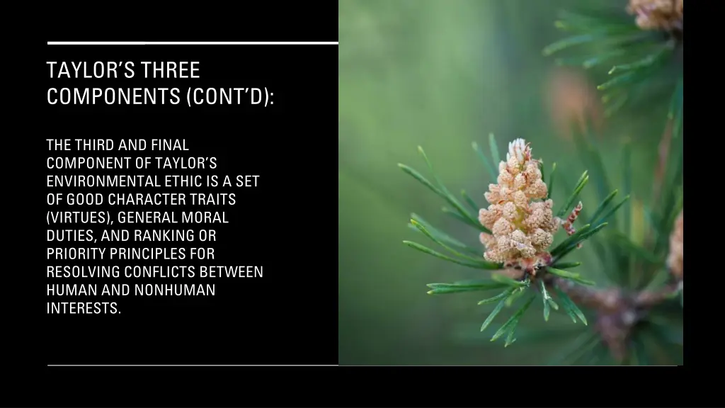 taylor s three components cont d 14