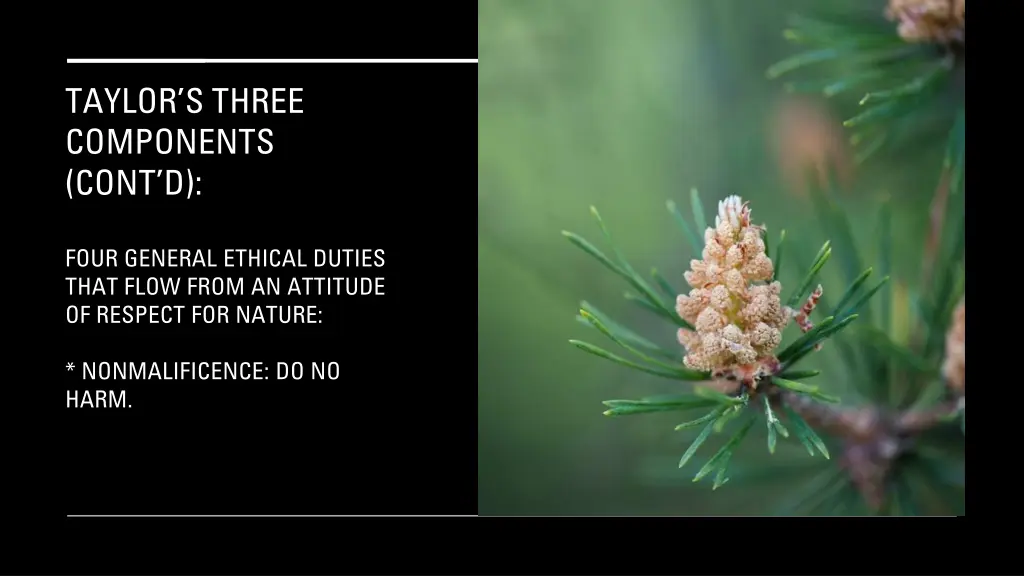 taylor s three components cont d 16