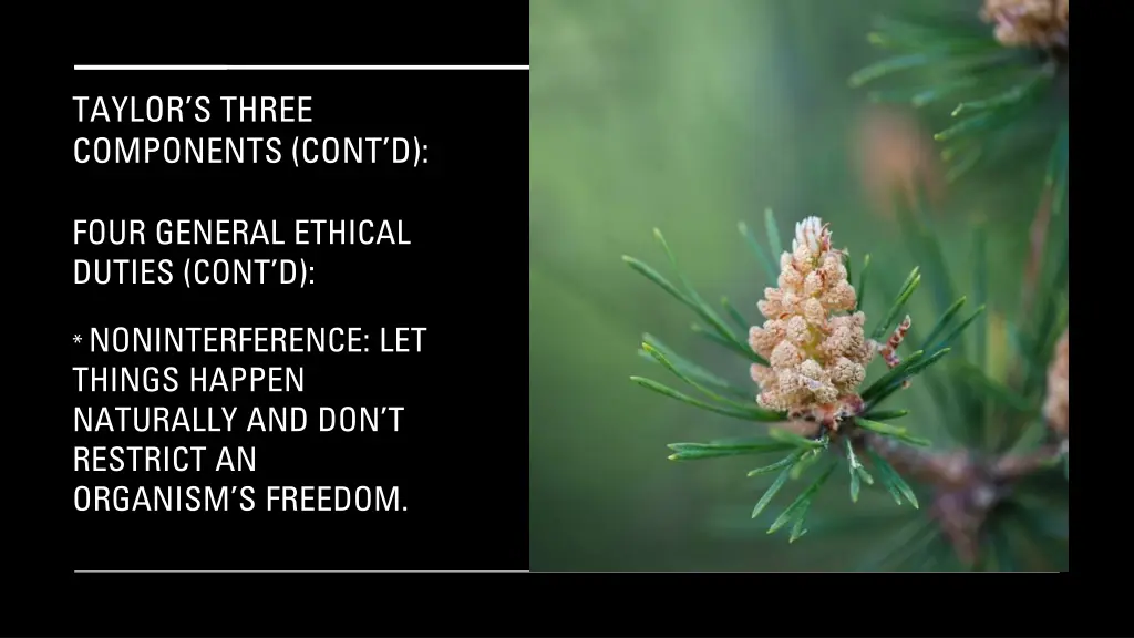 taylor s three components cont d 17