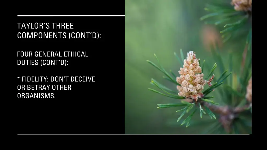 taylor s three components cont d 18