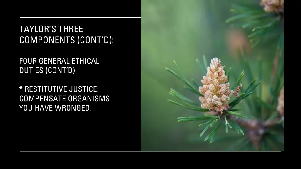 taylor s three components cont d 19