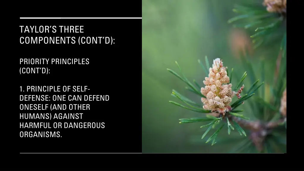 taylor s three components cont d 21