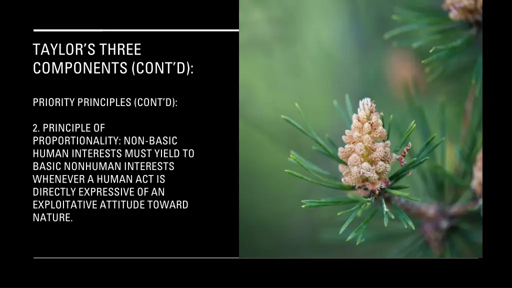 taylor s three components cont d 22