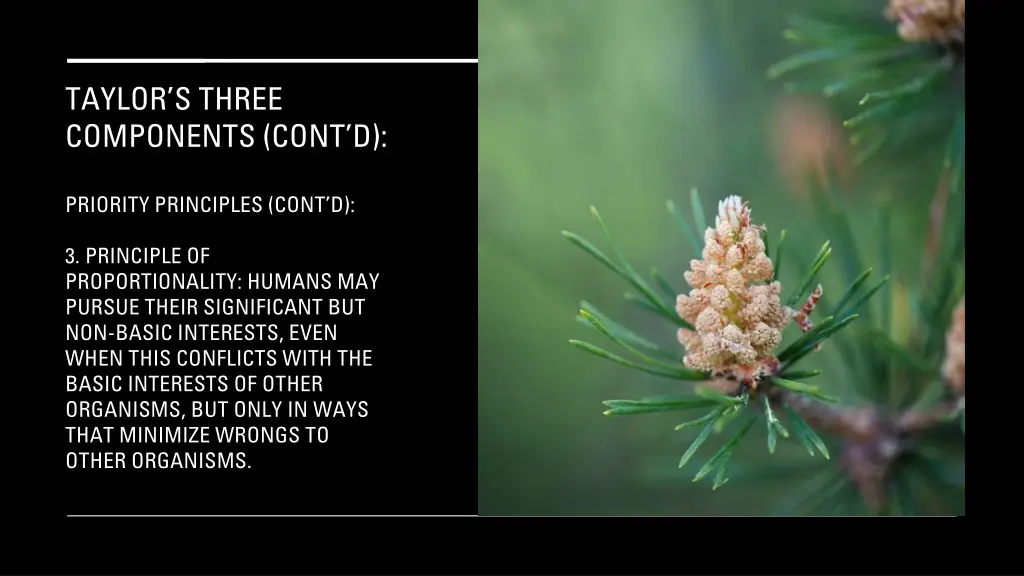 taylor s three components cont d 23