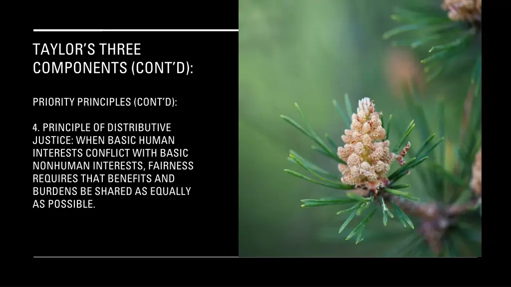 taylor s three components cont d 24