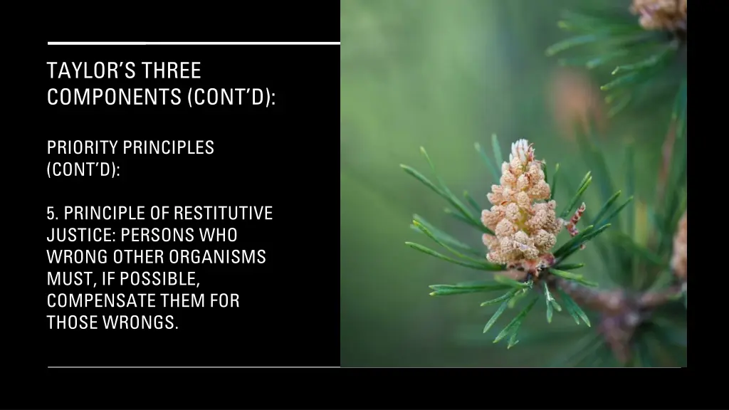 taylor s three components cont d 25