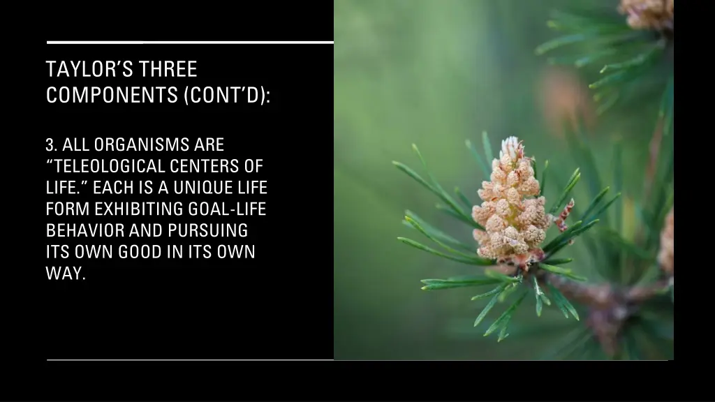 taylor s three components cont d 4