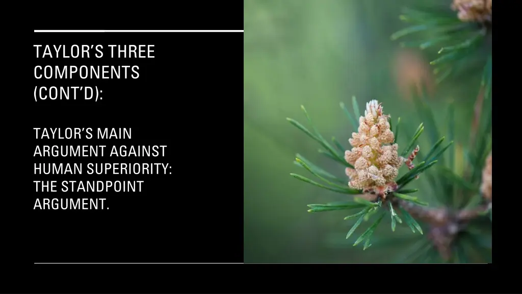 taylor s three components cont d 6