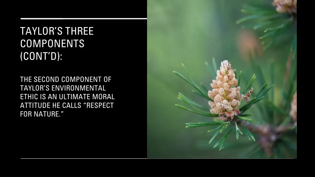 taylor s three components cont d 8