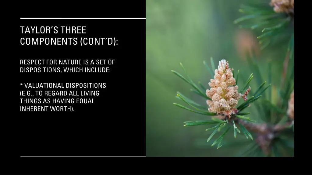 taylor s three components cont d 9
