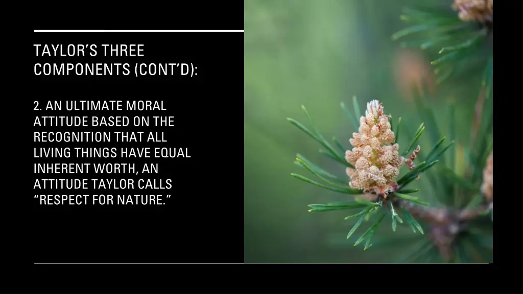 taylor s three components cont d