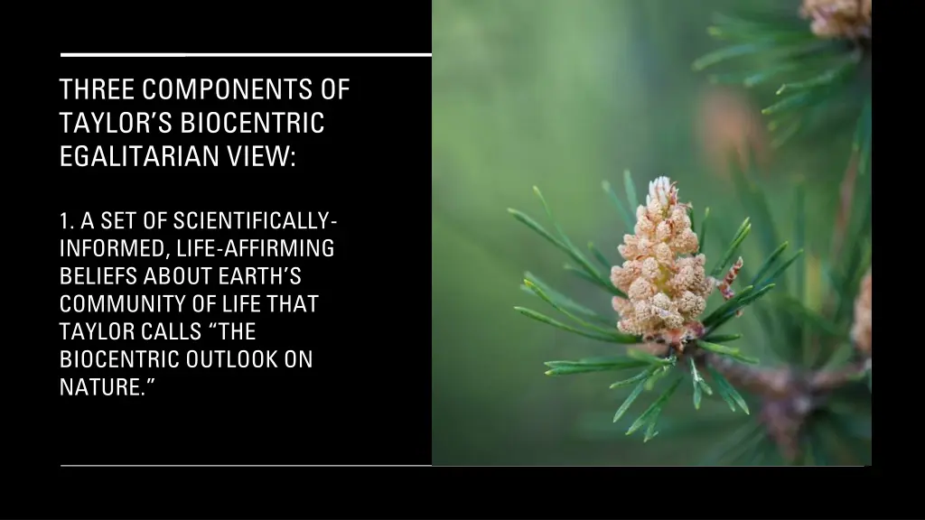 three components of taylor s biocentric