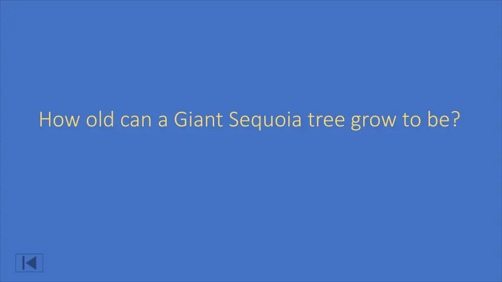 how old can a giant sequoia tree grow to be
