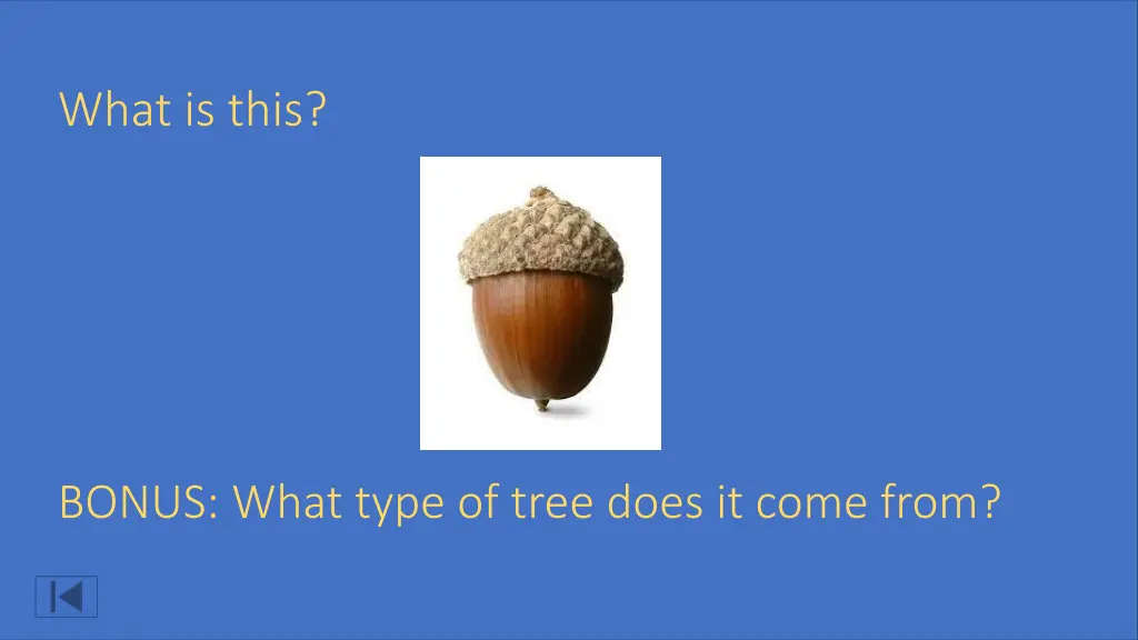 what is this