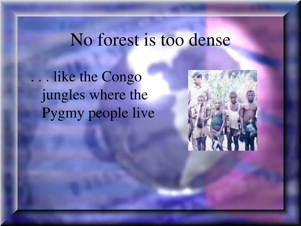 no forest is too dense