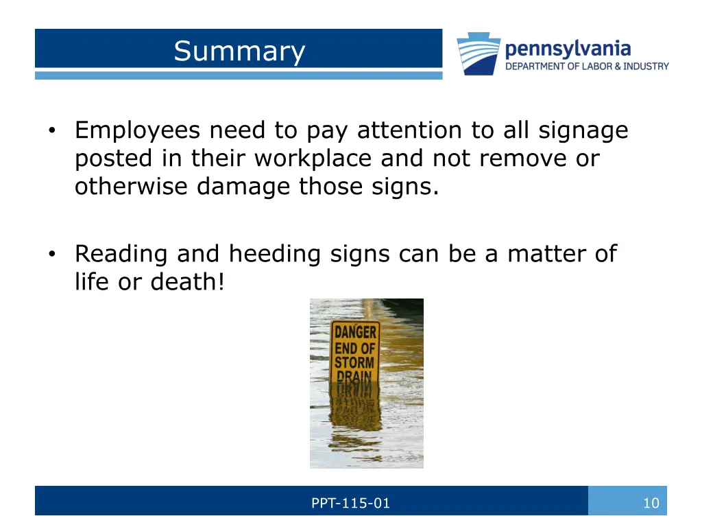summary 1