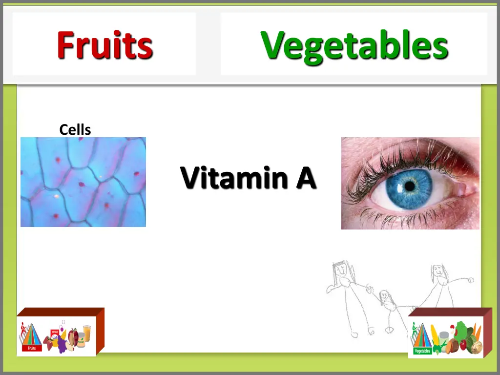 fruits