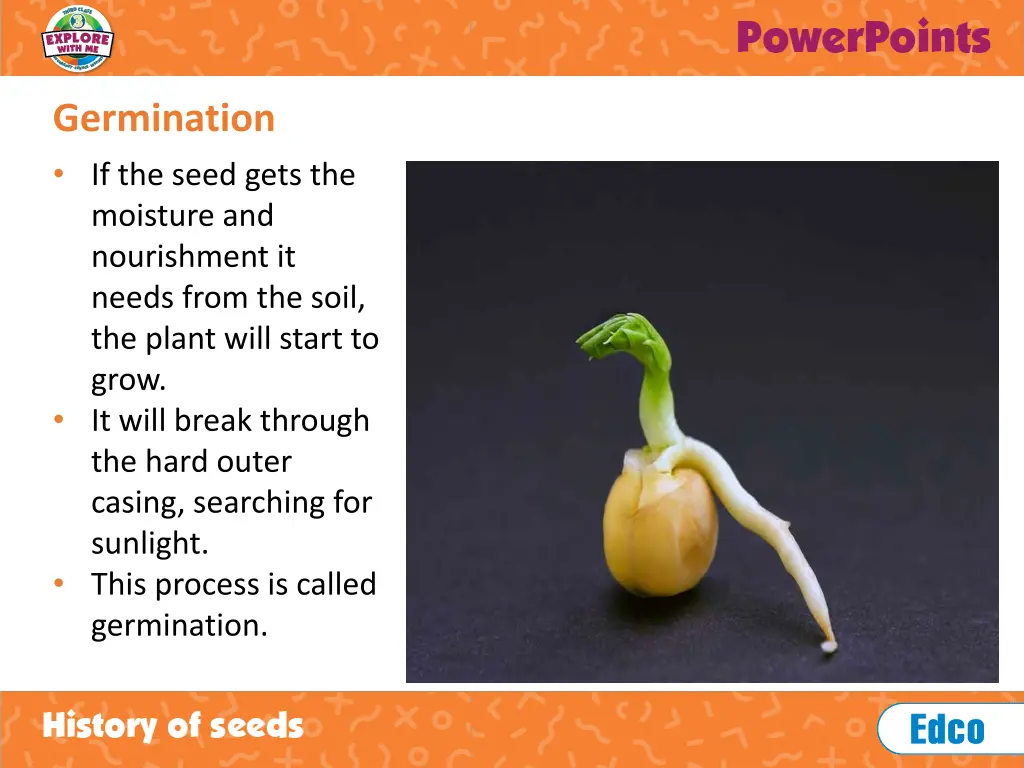germination 1