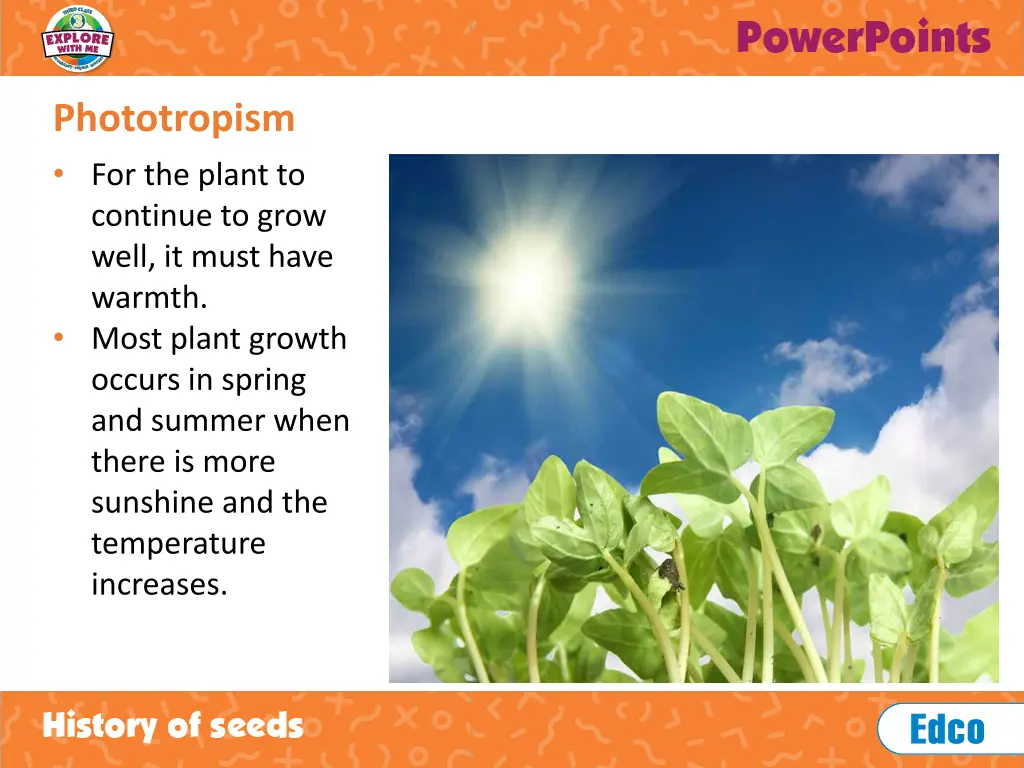 phototropism 1