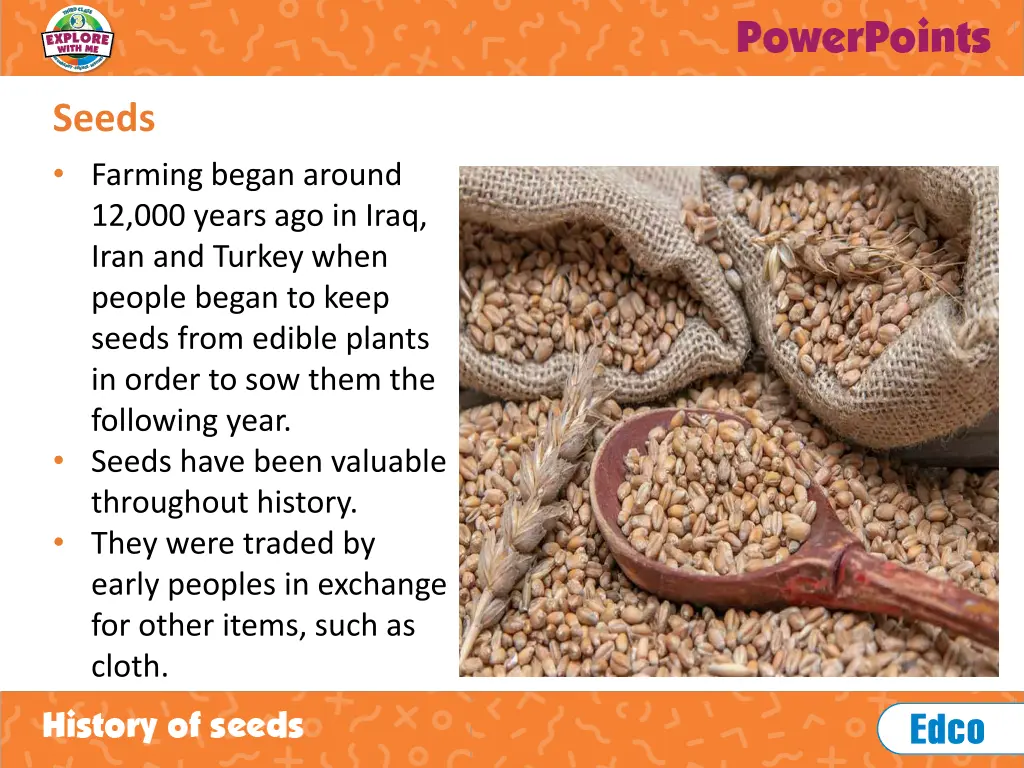 seeds 1