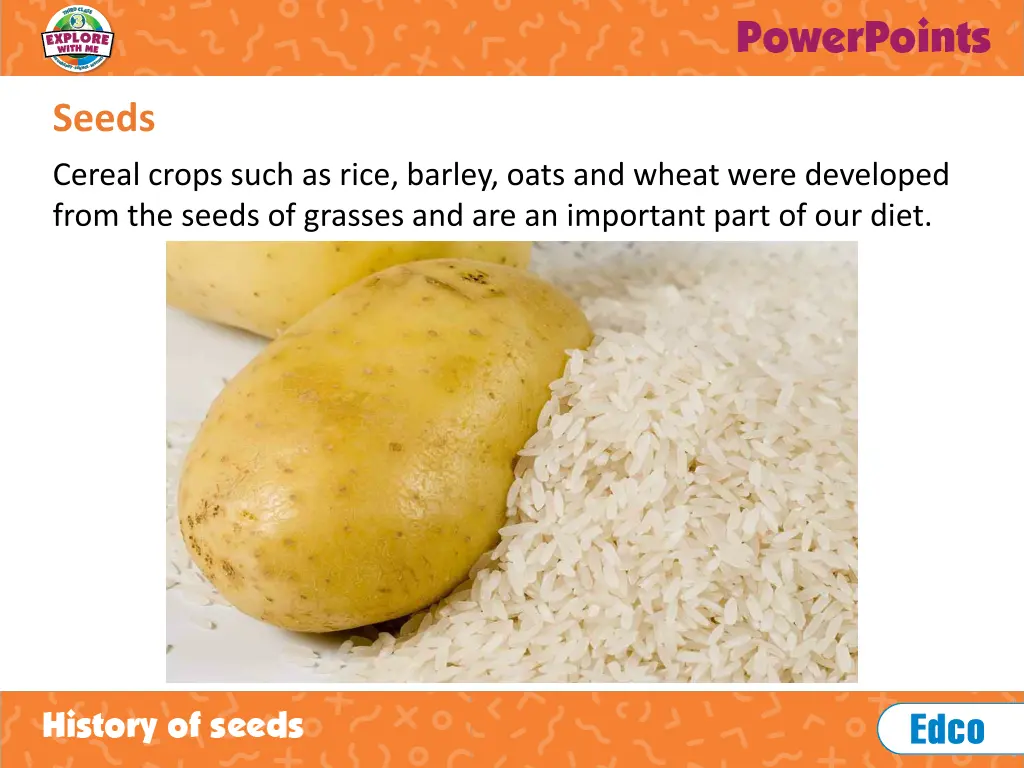 seeds 3