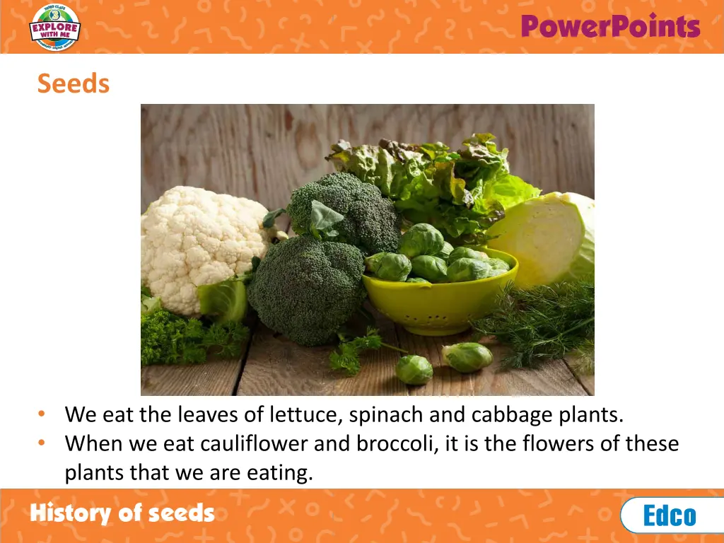 seeds 4