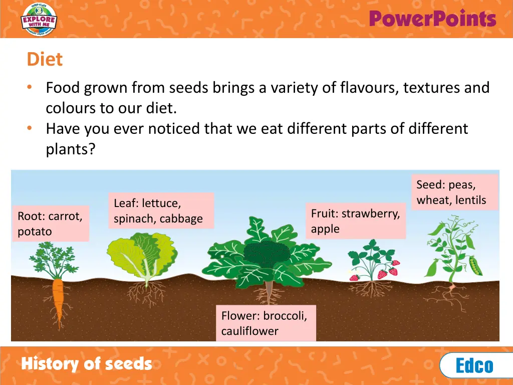 slide11