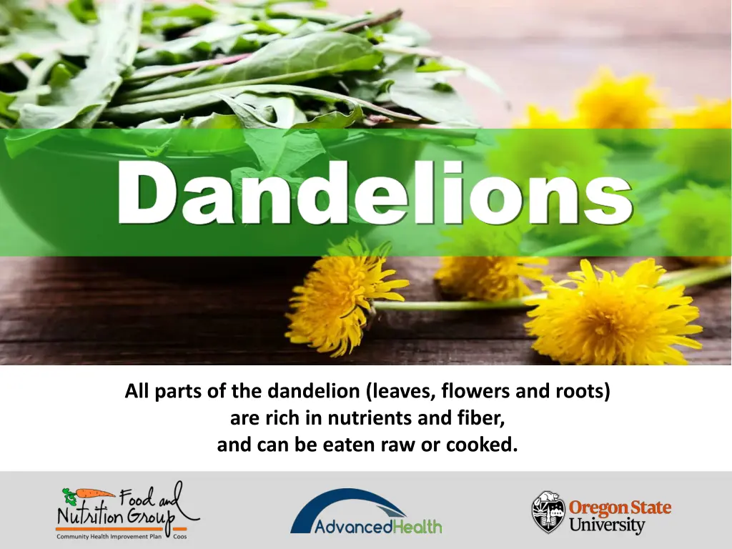 dandelions dandelions 2