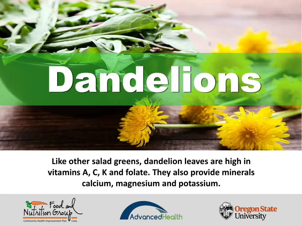dandelions dandelions 3