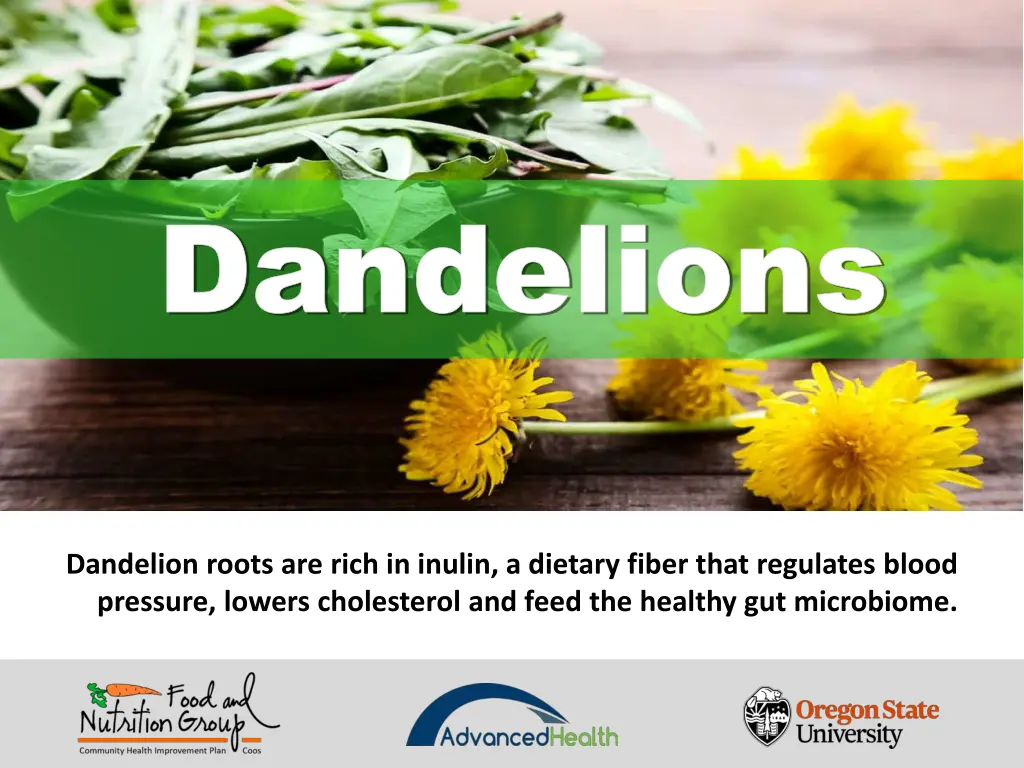 dandelions dandelions 6