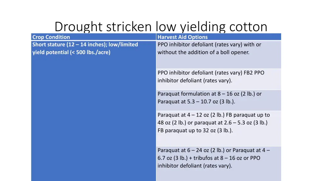 drought stricken low yielding cotton crop