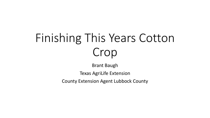 finishing this years cotton crop