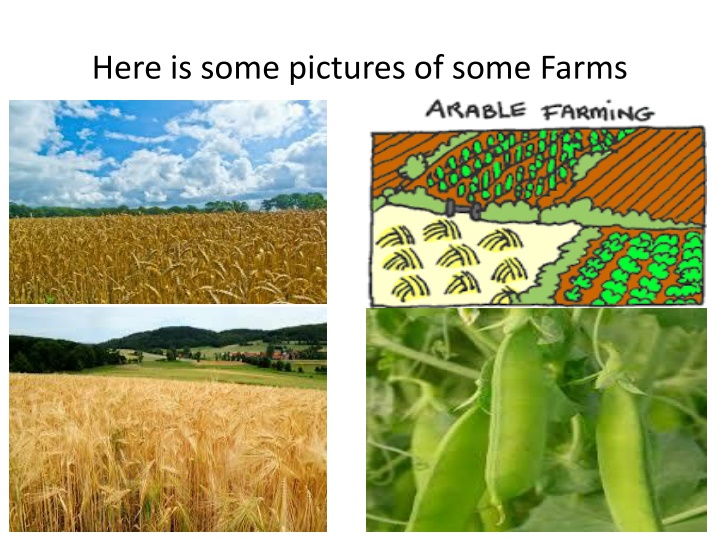 here is some pictures of some farms