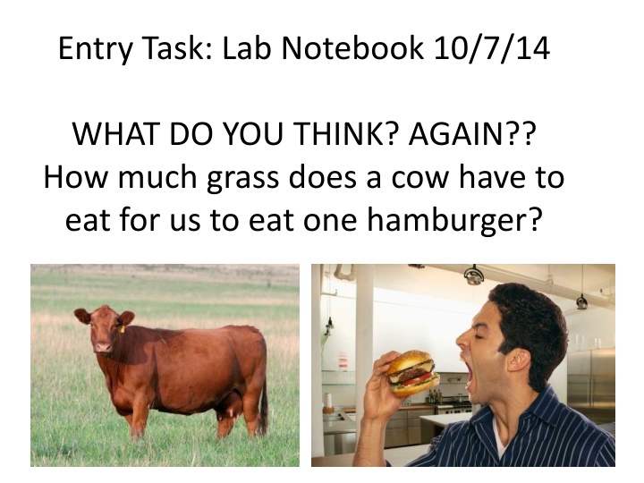 entry task lab notebook 10 7 14
