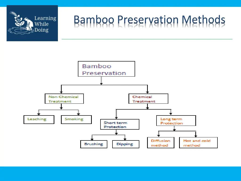bamboo preservation methods 1