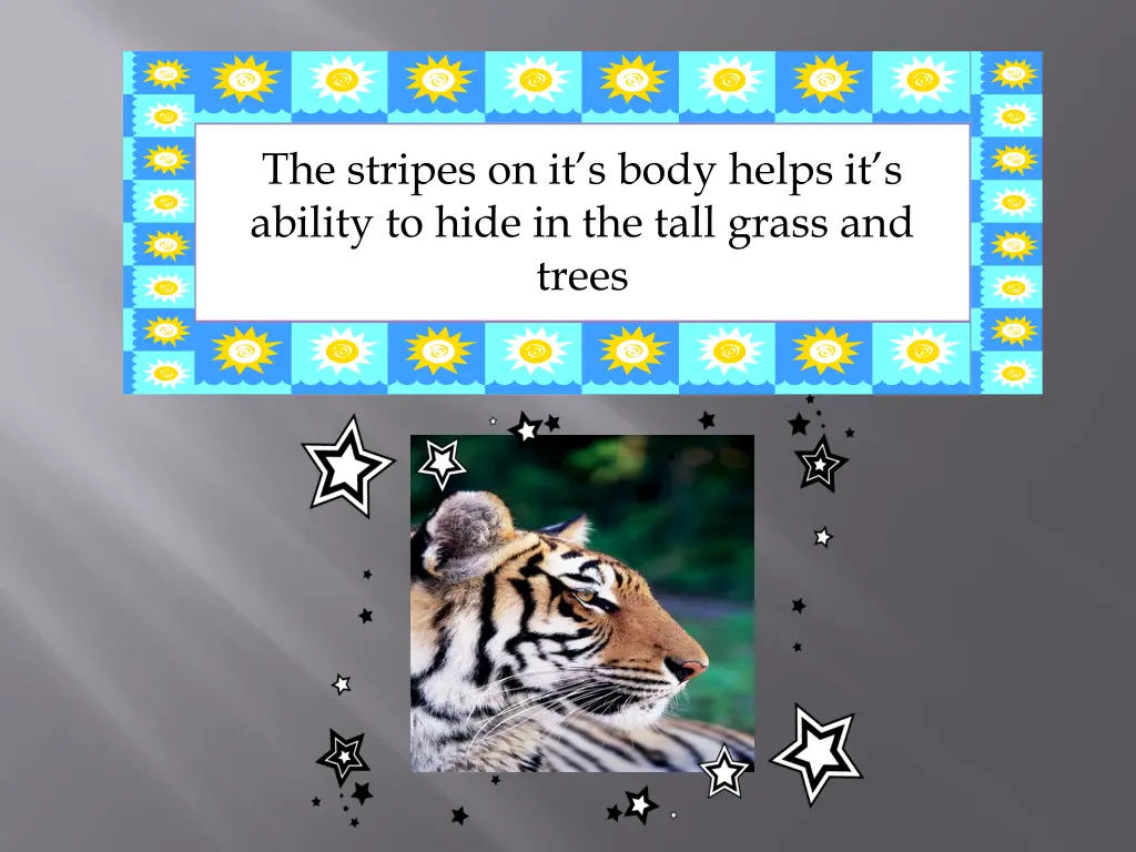 the stripes on it s body helps it s ability