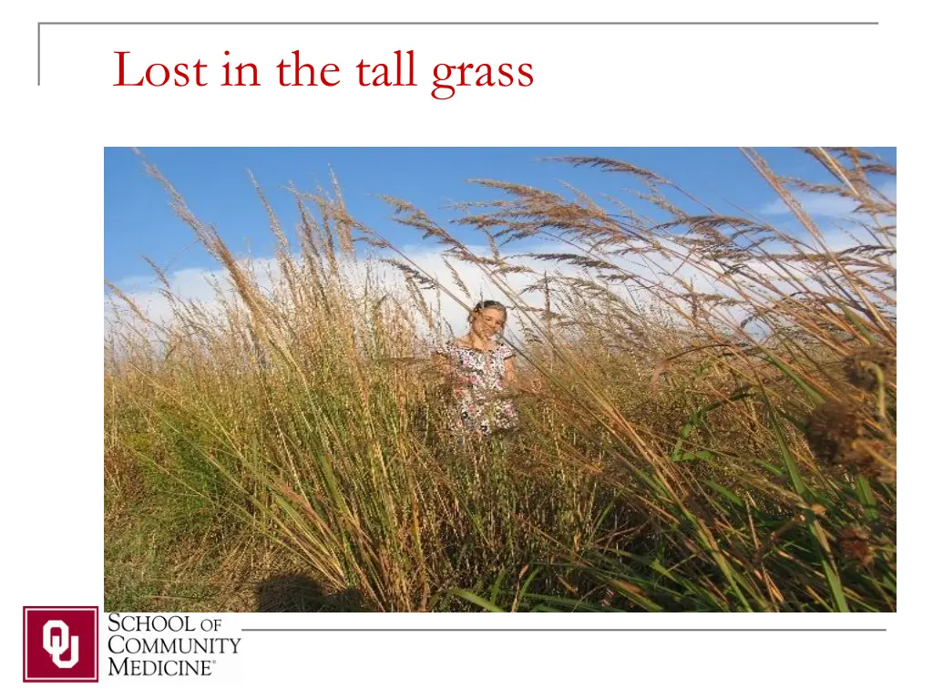 lost in the tall grass