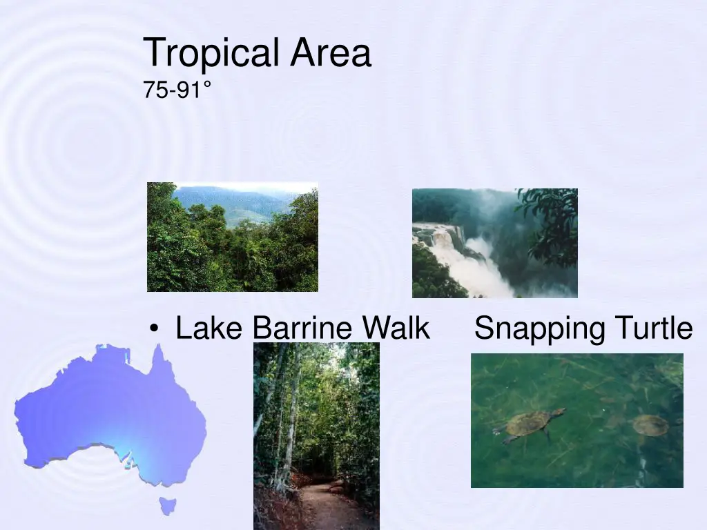 tropical area 75 91